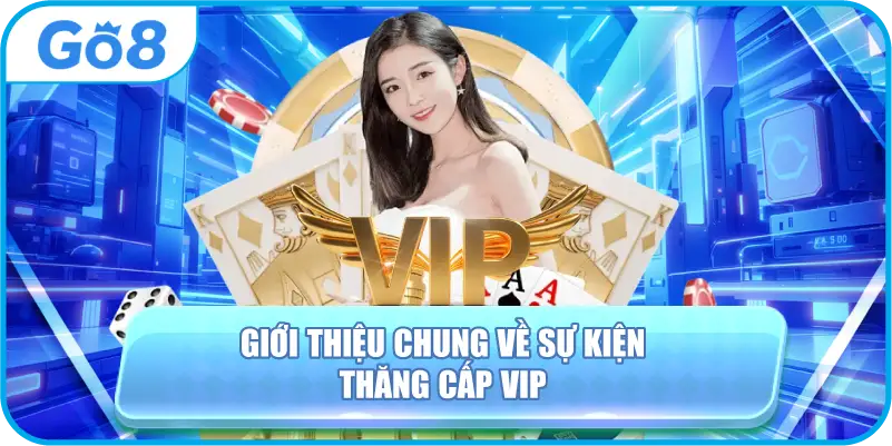 Giới thiệu chung về sự kiện thăng cấp VIP